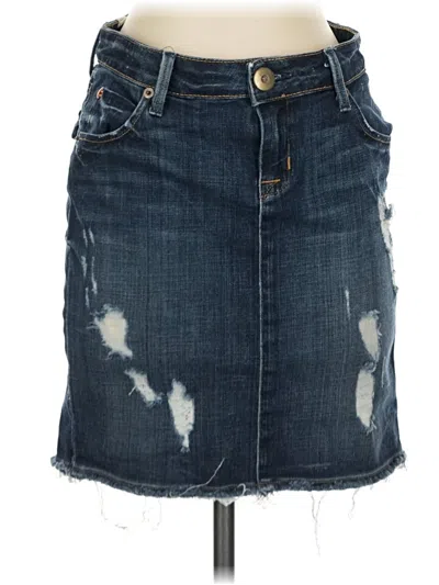 Pre-owned Hudson Denim Skirt In Blue