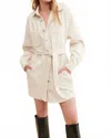 Hudson Oversized Shirt Mini Dress In Great Egret In Neutral