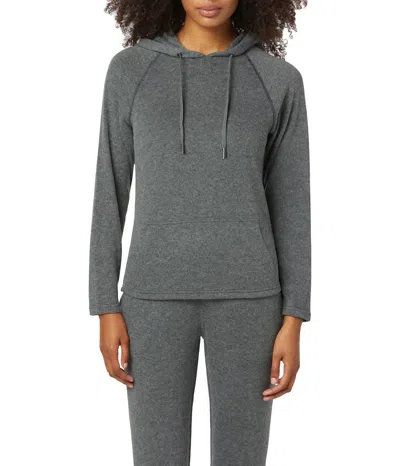 Hudson Raglan Sleeve Heathered 90s Hoodie In Charcoal Heather In Gray