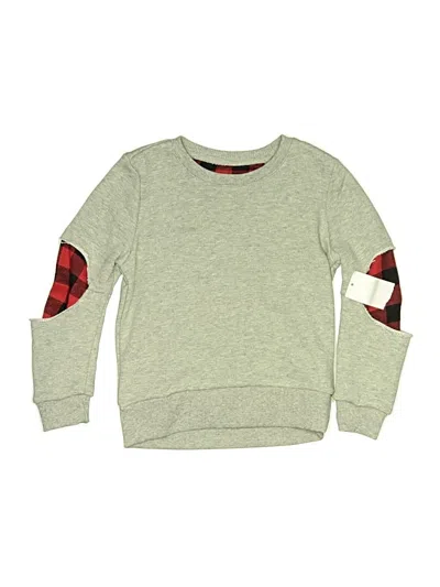 Pre-owned Hudson Kids' Sweatshirt In Gray
