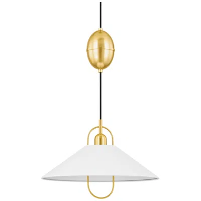 Hudson Valley Mariel 28" Wide Aged Brass Pendant Light