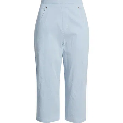 Hue Spring Stripe Petal Pusher Capri Pants In Blue