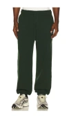 Huega House Icon Sweatpants In Green