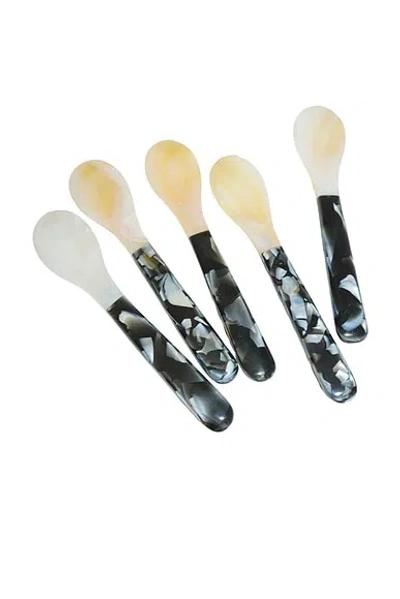 Huegah Home Setra Caviar Spoon Set In Black