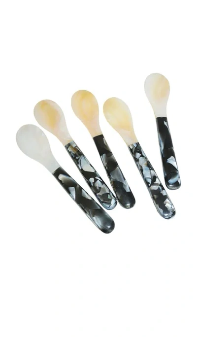Huegah Home Setra Caviar Spoon Set In Multi