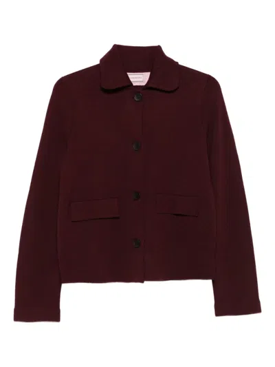 Hugenberg Buttoned Patch-pocket Cardigan In Brown