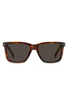 Hugo Boss 55mm Square Sunglasses In Brown Horn
