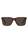 Hugo Boss 55mm Square Sunglasses In Brown