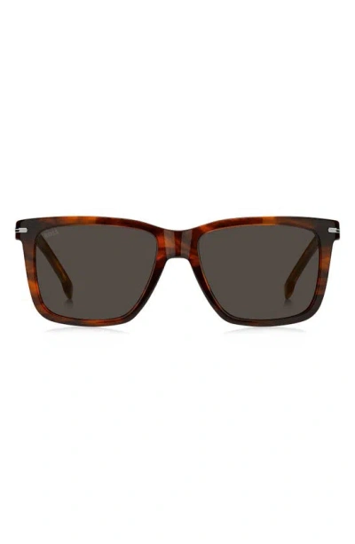 Hugo Boss 55mm Square Sunglasses In Brown