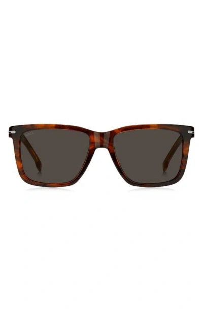 Hugo Boss 55mm Square Sunglasses In Brown Horn