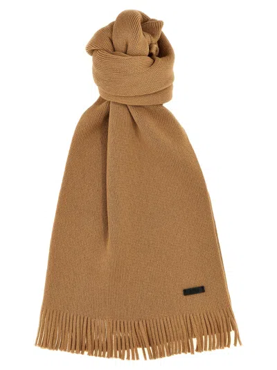 Hugo Boss Albas Scarf In Brown