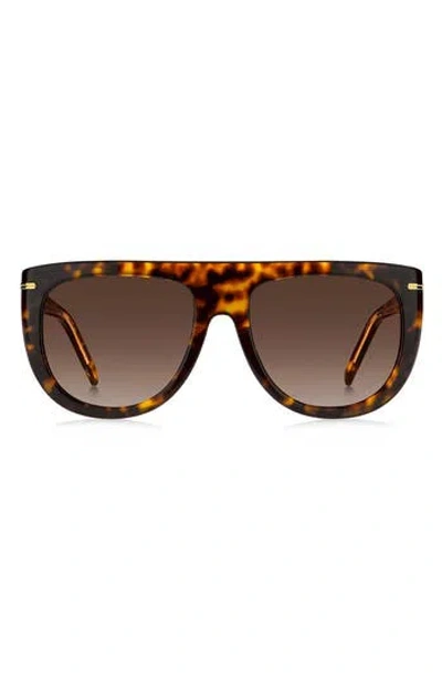 Hugo Boss Boss 56mm Gradient Navigator Sunglasses In Brown