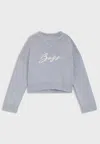 Hugo Boss Light Grey Logo Cropped Sweater In Gray