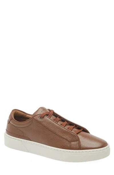 Hugo Boss Boss Gary Tenn Sneaker In Brown