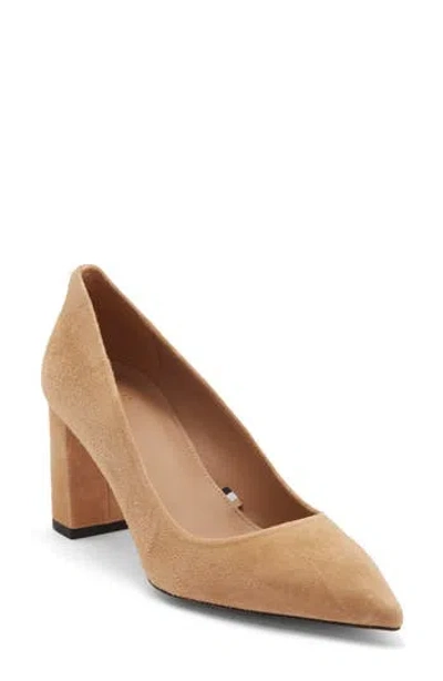 Hugo Boss Boss Janet Pointed Toe Pump In Brown