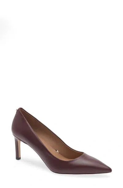 Hugo Boss Boss Janet Pointed Toe Pump In Burgundy