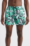 Hugo Boss Badeshorts Mit Blumen-print In Green