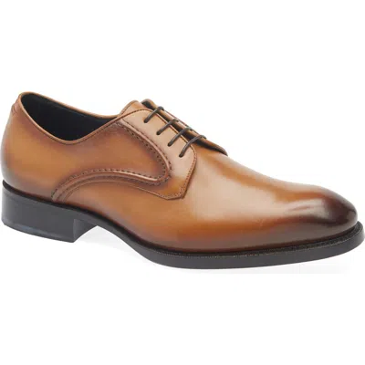Hugo Boss Boss Rill Derby In Brown