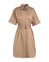 Hugo Boss Boss Woman Midi Dress Camel Size 2 Cotton, Elastane In Beige