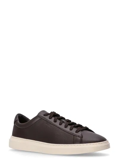 Hugo Boss Brown Logo Sneakers