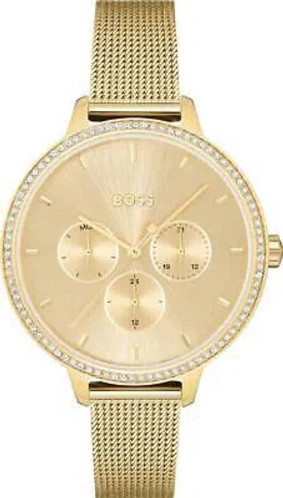 Pre-owned Hugo Boss Gold Womens Multi Dial Watch Prime 1502664