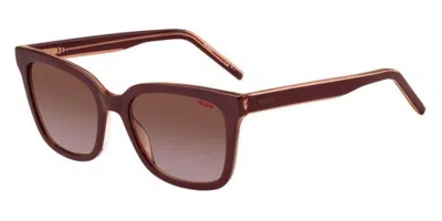Hugo Boss Hg 1248/s 0t5/n4 Women's Sunglasses Burgundy Size 54 In Brown