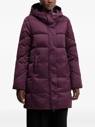 Hugo Boss Hooded Padded Jacket In Purple