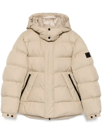 Hugo Boss Logo-patch Padded Jacket In Neutrals