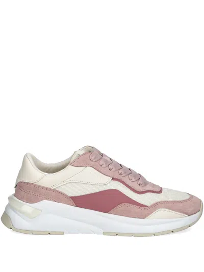 Hugo Boss Low-top Sneakers In Pink