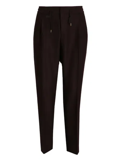 Hugo Boss Pleated Drawstring Trousers In Brown