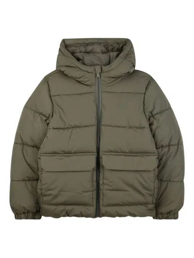 Hugo Boss Quilted Hooded Zip-up Jacket For Boys In Green