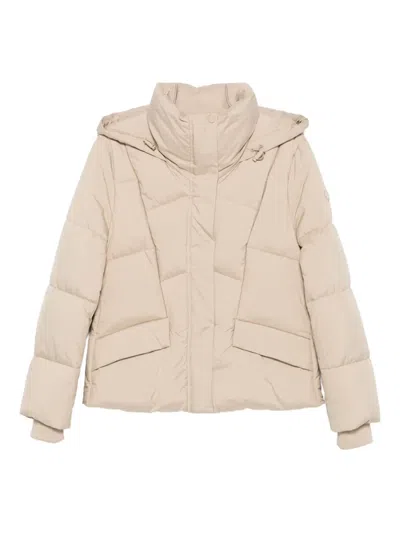 Hugo Boss Quilted Zip-up Puffer Jacket In Neutral