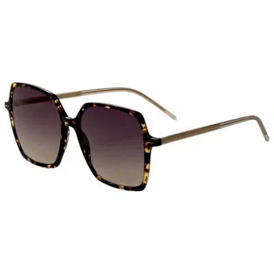 Hugo Boss Women's Sunglasses In Brown