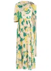 Huishan Zhang Alara Floral-print Chiffon Maxi Dress In Yellow