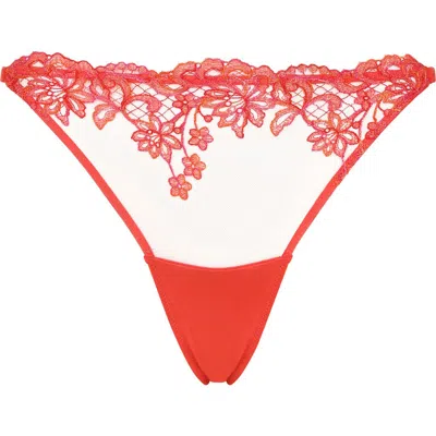 Huit Bonbon Rose Tanga In Multi
