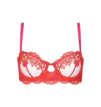 Huit Bonbon Rose Thong In Multi