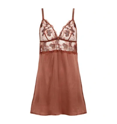 Huit Poeme Prestige Nuisette In Brown
