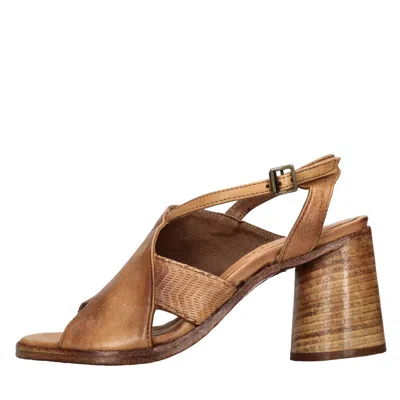 Hundred 100 Sandals In Brown