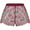 Hunkemoller Hunkemöller Delphine French Lace Knicker Briefs In Red