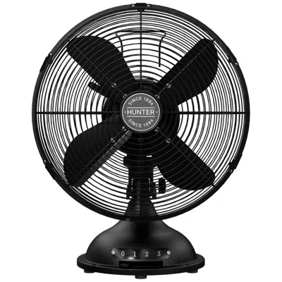 Hunter 12"  Class D12 Portable Desk Fan 3 Speeds Matte Black