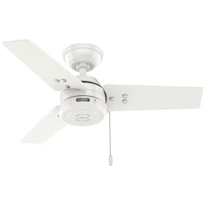 Hunter 36" Cassius Fresh White Fan With Fresh White/light Oak Blades