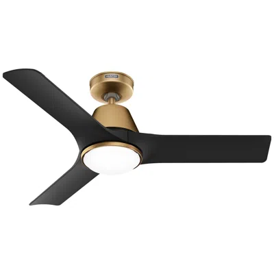 Hunter 44" Aeronaut Wi-fi Luxe Gold Damp Rated With Matte Black Blades