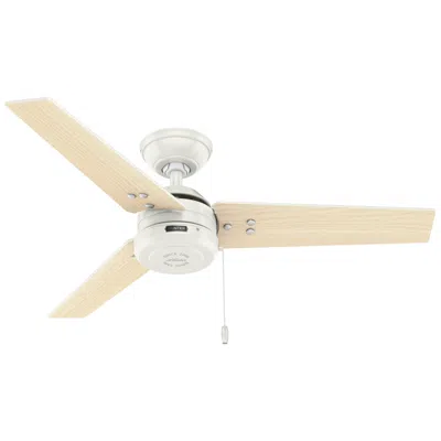 Hunter 44"  Cassius Fresh White Damp Rated Ceiling Fan With Pull Chain In Neutral