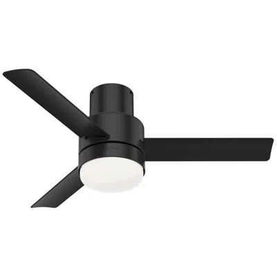 Hunter 44"  Gilmour Matte Black Lp Damp Rated Ceiling Fan With Led Ligh