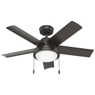 Hunter 44"  Seawall Noble Bronze Wet Rated Led Pull Chain Ceiling Fan In Gray