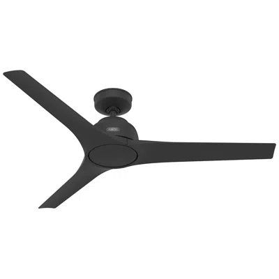 Hunter 52"  Gallegos Matte Black Damp Rated Ceiling Fan