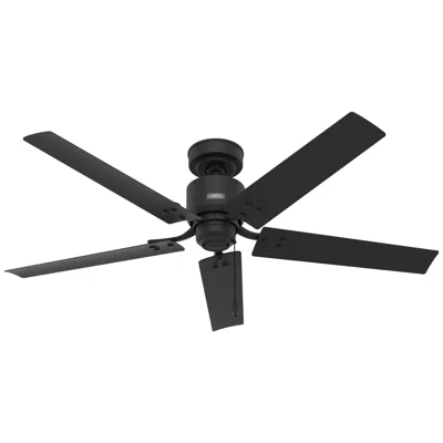 Hunter 52"  Windbound Matte Black Outdoor Ceiling Fan