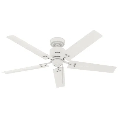 Hunter 52"  Windbound Matte White Damp Rated Ceiling Fan And Pull Chain