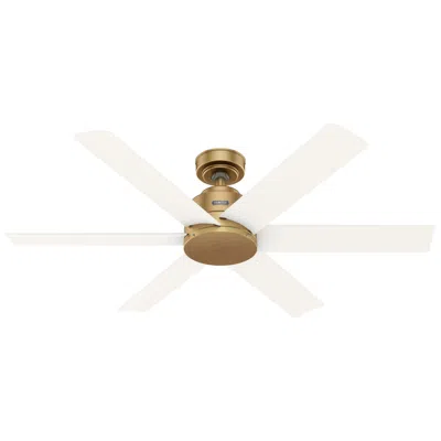 Hunter 52 Inch Kennicott Luxe Gold Damp Rated Ceiling Fan And Wall Control