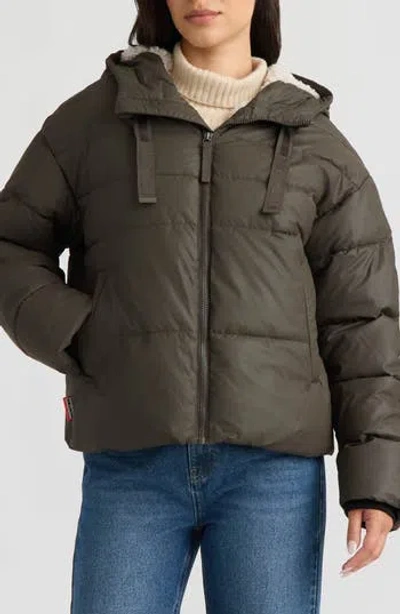 Hunter Admiral Pu Coated Cropped Puffer Jacket In Brown